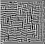 [ 2D Pattern Forming CA Applet ]